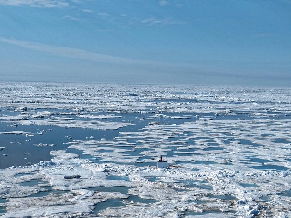 Sommer in der Arktis: Die MOSAiC-Scholle schmilzt immer mehr und nähert sich der Eiskante. Die Tage der Scholle sind gezählt … Foto: Luisa von Albedyll, AWI