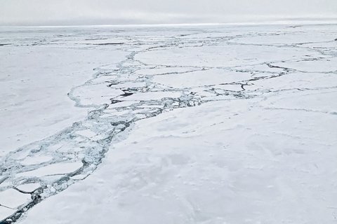 The Polarstern searches its way through the ice floes. The way through the ice to the south requires a lot of patience, because the ice channels mostly run in east-west direction and not in north-south direction. Photo: Stefanie Arndt, AWI