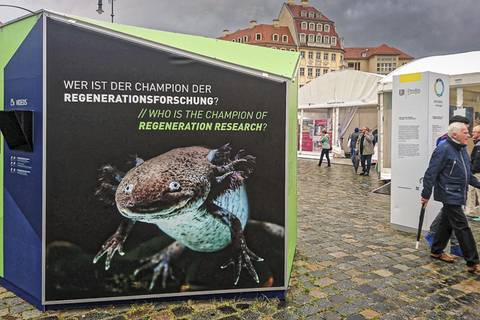 Wissenschaftsmeile auf dem Dresdner Neumarkt. Foto: Tilo Arnhold, TROPOS