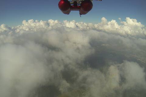 ACTOS's view of a cumulus field