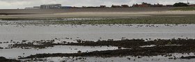 Wattenmeer und Wattenmeerstation des Alfred-Wegener-Instituts auf Insel Sylt. Foto: Alfred-Wegener-Institut / Lars Grübner (CC-BY 4.0)