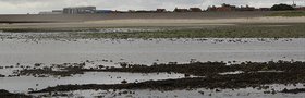 Wattenmeer und Wattenmeerstation des Alfred-Wegener-Instituts auf Insel Sylt. Foto: Alfred-Wegener-Institut / Lars Grübner (CC-BY 4.0) Wattenmeer und Wattenmeerstation des Alfred-Wegener-Instituts auf Insel Sylt. Foto: Alfred-Wegener-Institut / Lars Grübner (CC-BY 4.0)