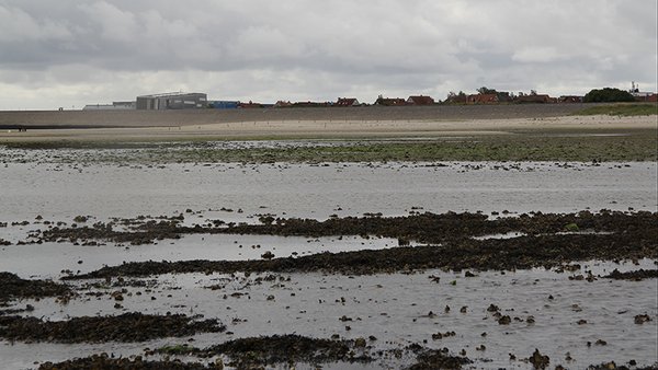 Wattenmeer und Wattenmeerstation des Alfred-Wegener-Instituts auf Insel Sylt. Foto: Alfred-Wegener-Institut / Lars Grübner (CC-BY 4.0)  