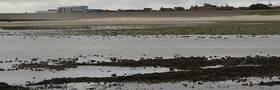 Wattenmeer und Wattenmeerstation des Alfred-Wegener-Instituts auf Insel Sylt. Foto: Alfred-Wegener-Institut / Lars Grübner (CC-BY 4.0) Wattenmeer und Wattenmeerstation des Alfred-Wegener-Instituts auf Insel Sylt. Foto: Alfred-Wegener-Institut / Lars Grübner (CC-BY 4.0)