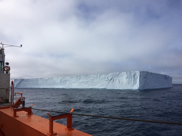 Ein Eisberg aus der Weddellsee kreuzt die Route der „Akademik Tryoshnikov“ auf dem Weg zu den Sandwichinseln. Zu sehen sind nur 1/8 des Eises. 7/8 sind unter der Wasseroberfläche und sorgen für Auftrieb.  Wir sind jetzt im unbewohnten Teil der Antar