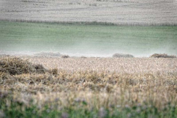 In the journal Climate of the Past, researchers from the Leibniz Institutes for the History and Culture of Eastern Europe (GWZO) and Tropospheric Research (TROPOS) write that the 1302–07 weather patterns display similarities to the 2018 weather anomaly, in which continental Europe experienced exceptional heat and drought. Photo: Tilo Arnhold, TROPOS