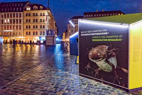 Wissenschaftsmeile: Dresden Concept. Foto: Tilo Arnhold, TROPOS