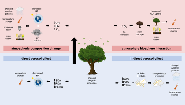 Insect Infestation Increases Viscosity of Biogenic Secondary Organic  Aerosol