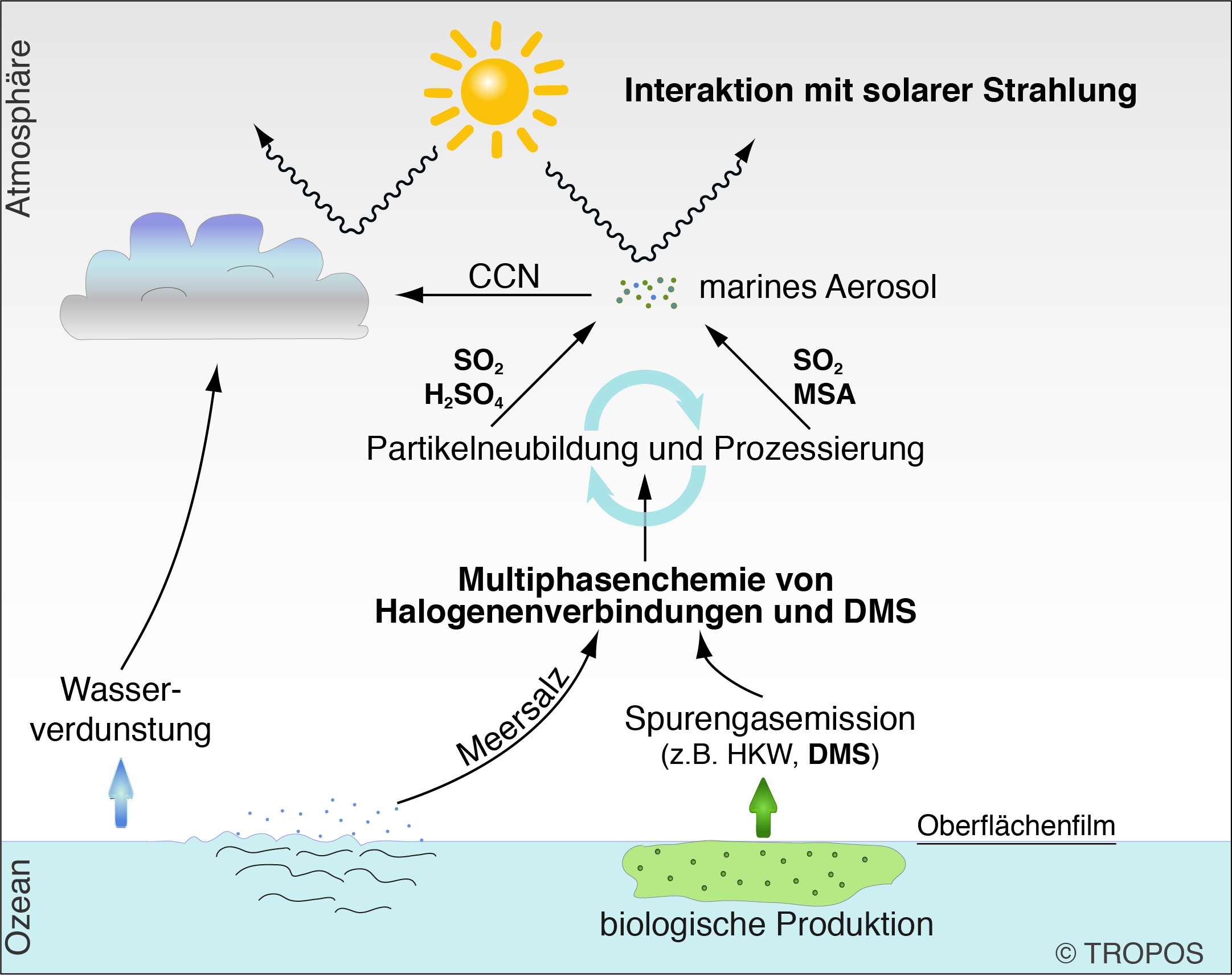 Umfassendste Studie zur atmosphärischen Oxidation des natürlichen Klimagases Dimethylsulfid veröffentlicht. Grafik: Erik Hans Hoffmann , TROPOS