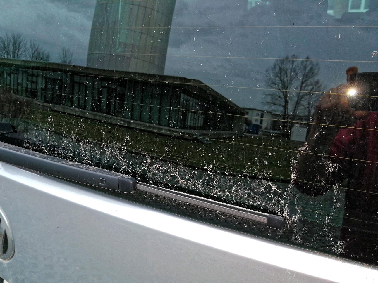 Blutregen am Schalttag über Leipzig | Leibniz-Institut für Troposphärenforschung e.V., Leipzig