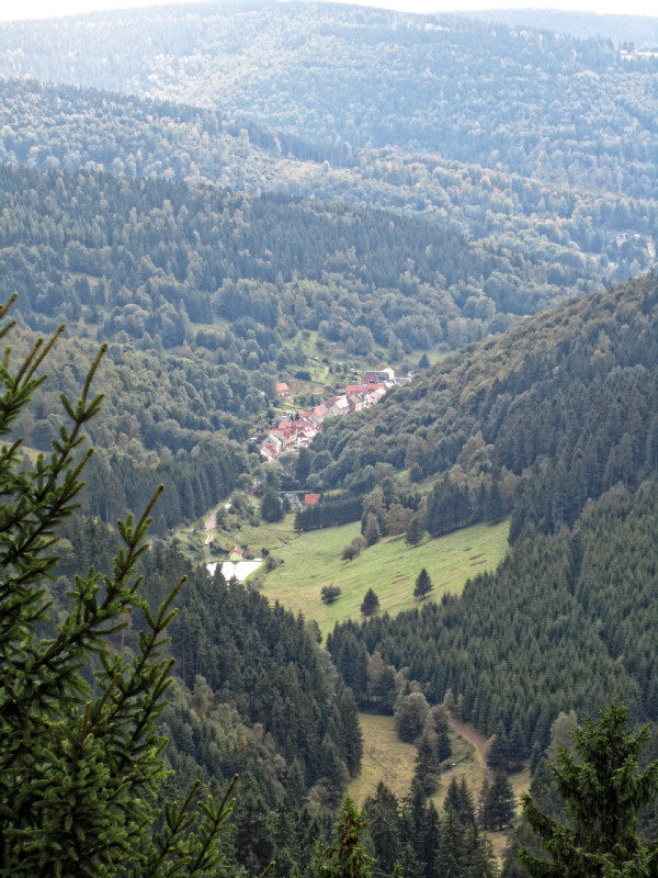 The campaign "Hill Cap Cloud Thuringia 2010" (HCCT-2010) was a complex cloud measurement campaign in the Thuringian Forest. Extensive measurements were taken between Goldlauter, Schmücke and Gehlberg near Suhl. Photo: Laurent Poulain, TROPOS