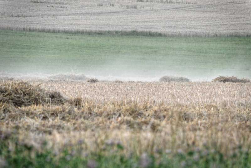 In the journal Climate of the Past, researchers from the Leibniz Institutes for the History and Culture of Eastern Europe (GWZO) and Tropospheric Research (TROPOS) write that the 1302–07 weather patterns display similarities to the 2018 weather anomaly, in which continental Europe experienced exceptional heat and drought. Photo: Tilo Arnhold, TROPOS