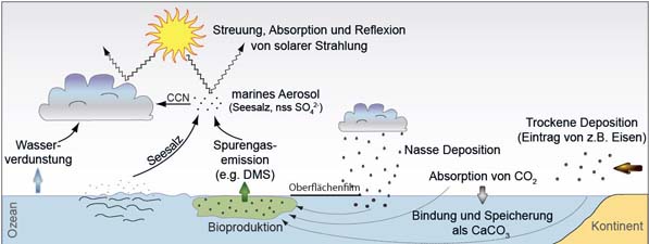 Aerosols—facts and information